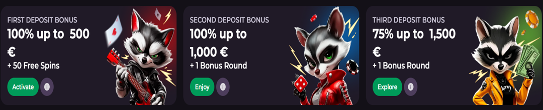 Bonus de bienvenue du casino Rocky Spin
